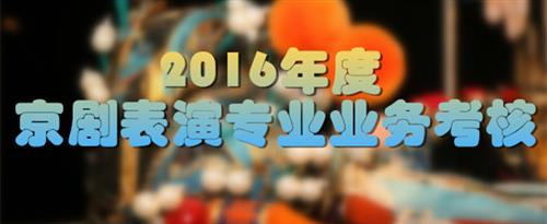 内射调教51平台国家京剧院2016年度京剧表演专业业务考...